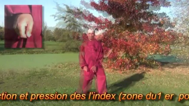 Extrait du Qi Gong des poumons & gros intestin