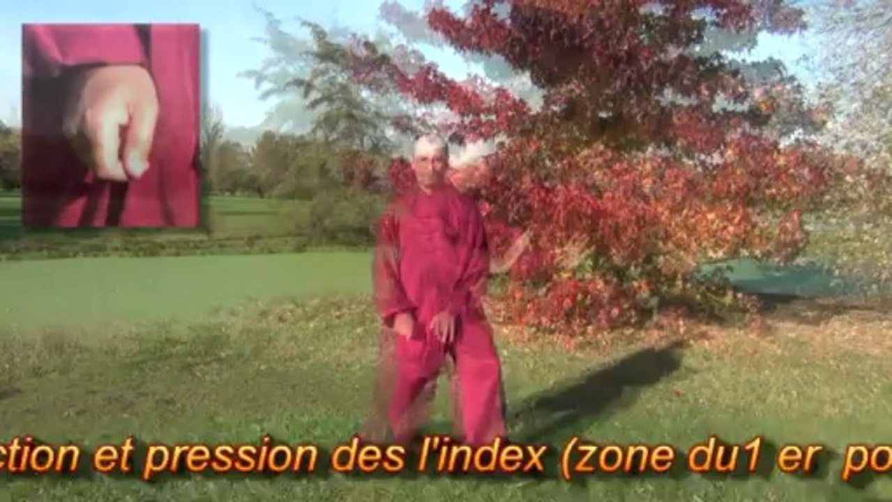 Extrait du Qi Gong des poumons & gros intestin