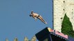 Malcesine Cliff Diving - Red Bull Cliff Diving World Series 2013 - Event Recap