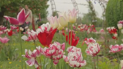Espace Naturel Lille Métropole & Initiatives plurielles : "La fête des mômes au jardin Mosaic - H