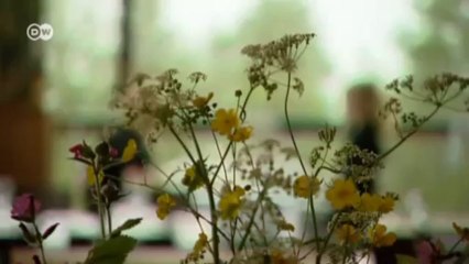 لحم الرنة وتعدد وصفات تحضيره | يوروماكس