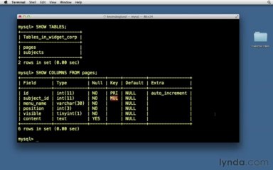 13.06.Relational database table