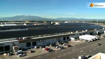 Saint Charles International : un marché de fruits et légumes devenu un géant du photovoltaïque