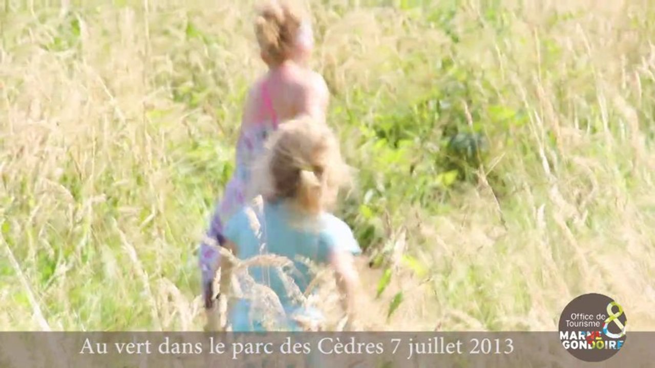 Au vert dans le  Parc des Cèdres 2013