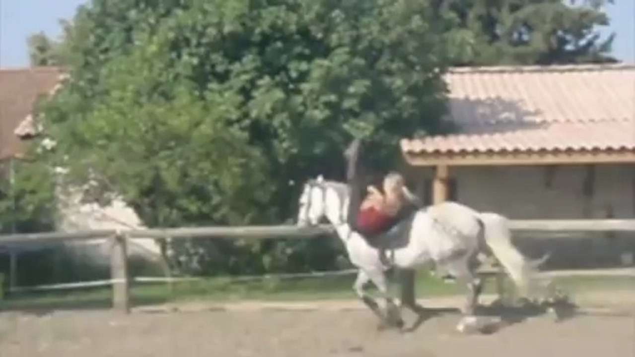 Entrainement voltige juillet 2013