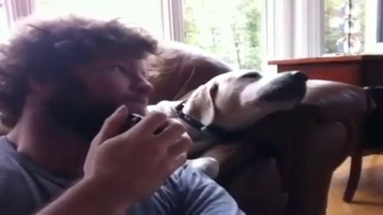 Dog Sings Blues With Owner