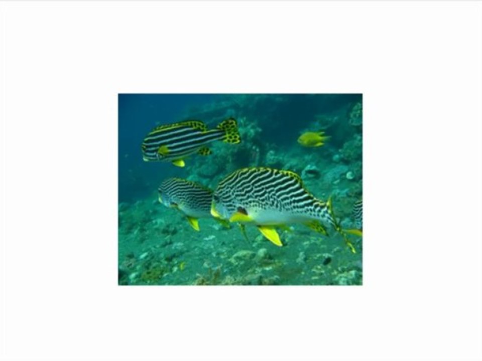 Fujifilm FinePix XP200 Yellow 16MP Waterproof Digital Camera