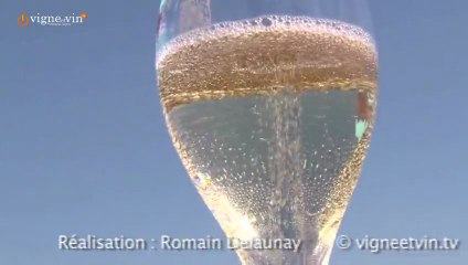 Champagne Juillet Lallement du Club Trésors de Champagne by Jacques Legros