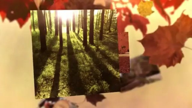 Panske Trim-A-Tree Service - (715) 735-9720