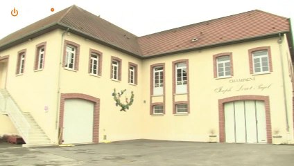 Vidéo Terreetvigne.com Champagne Loriot-Pagel du Club Trésors de Champagne
