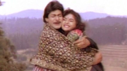 Maa avida Collector Songs - Thappukondi Babulu - Jagapati Babu, Prema - HD