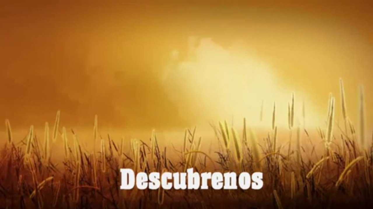 Salud,Pareja,Trabajo(360p_VP8-Vorbis)