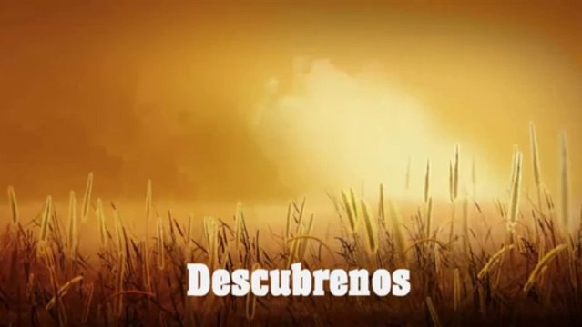 Salud,Pareja,Trabajo(360p_VP8-Vorbis)