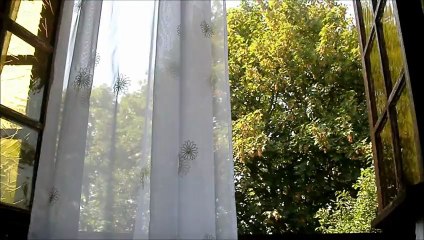 LES PLUMES DE MON CHEMIN