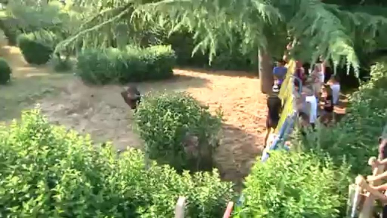 Journal des fêtes votives de Saint Gervasy