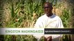 Water Efficient Maize for Africa (WEMA)  Improved Maize Varieties to Aid Farmers in Sub-Saharan Africa