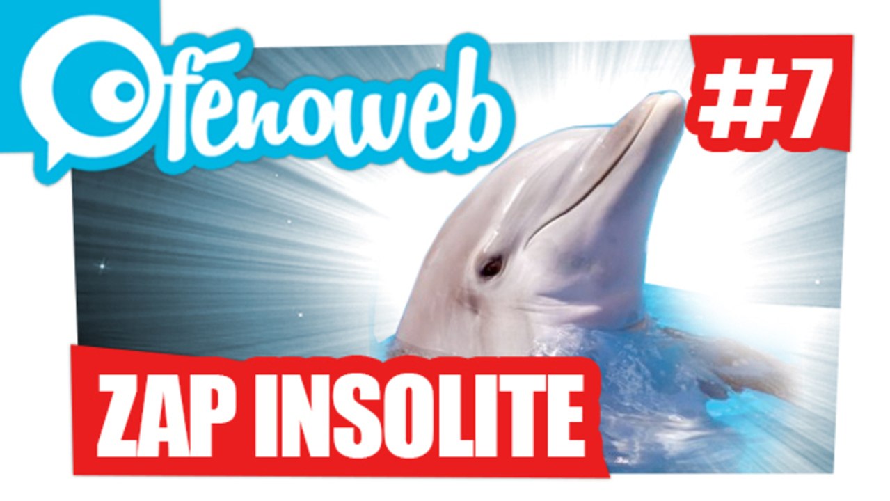 Compile Insolite du web Juillet 2013 (Part 1)