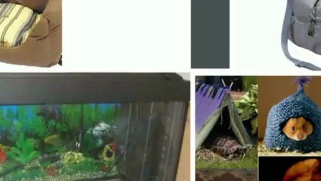 Petite annonce accessoires animaux à vendre au québec