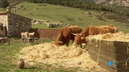 MARTIN MARIA NO PIENSO ALEJARME DE AQUI ESDPV 17-07-2013