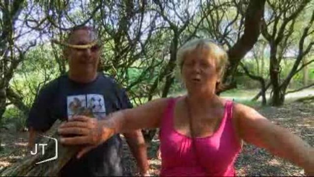 Ballade en nature : Découverte sensorielle (Vendée)