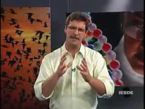 BIOLOGIA AULA 21 SISTEMA SENSORIAL ÓRGÃO DOS SENTIDOS Parte 1 - YouTube