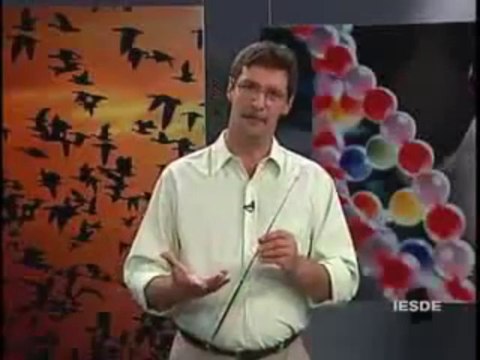 BIOLOGIA AULA 21 SISTEMA SENSORIAL ÓRGÃO DOS SENTIDOS Parte 2 - YouTube