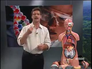 BIOLOGIA AULA 22 -- SISTEMA ENDÓCRINO A INTEGRAÇÃO HORMONAL Parte 2  - YouTube