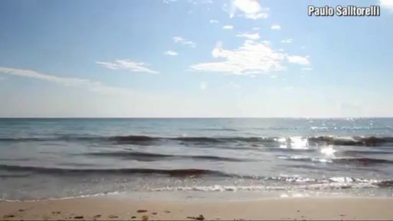 Cruzando Raios - Orlando Morais- Legendado