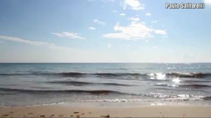 Cruzando Raios - Orlando Morais- Legendado