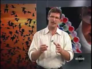 BIOLOGIA AULA 22 -- SISTEMA ENDÓCRINO A INTEGRAÇÃO HORMONAL Parte 3  - YouTube