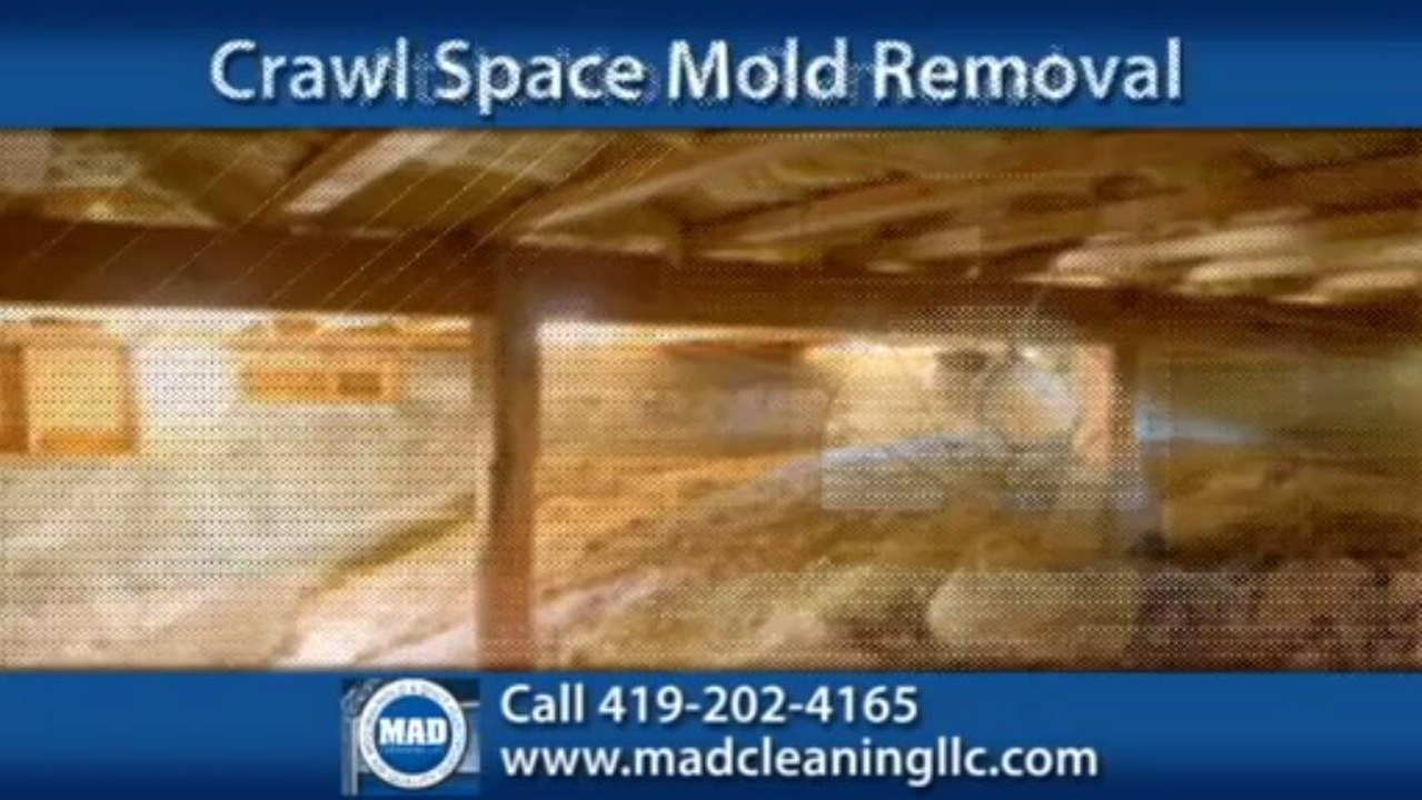 Lorain Mold Remediation | Amherst Air Duct Cleaning Call 419-202-4165