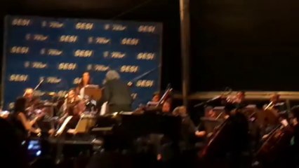 João Carlos Martins como tema da Escola de Samba Vai-Vai