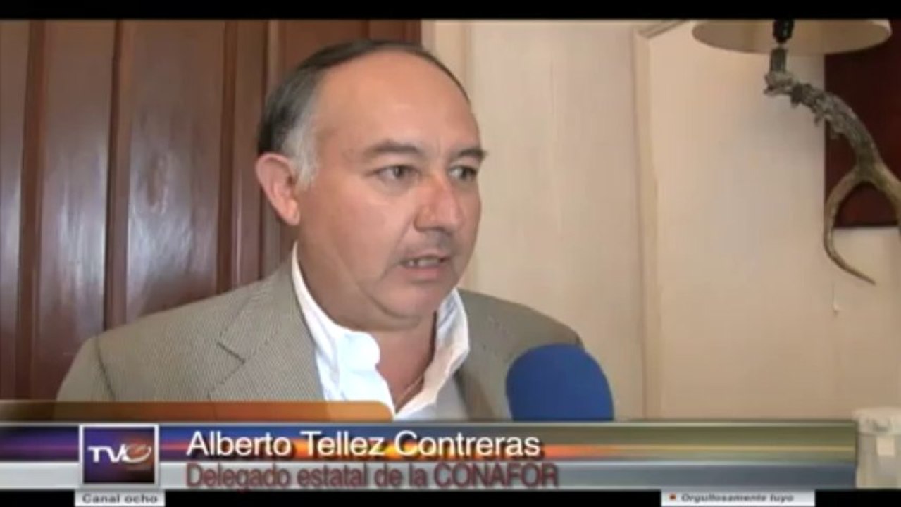alberto tellez conafor