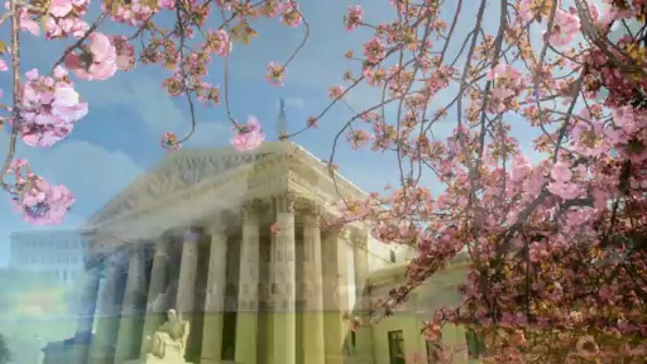 IFADES Institute International Programmes in Law Area Introduction to Common Law Free Course