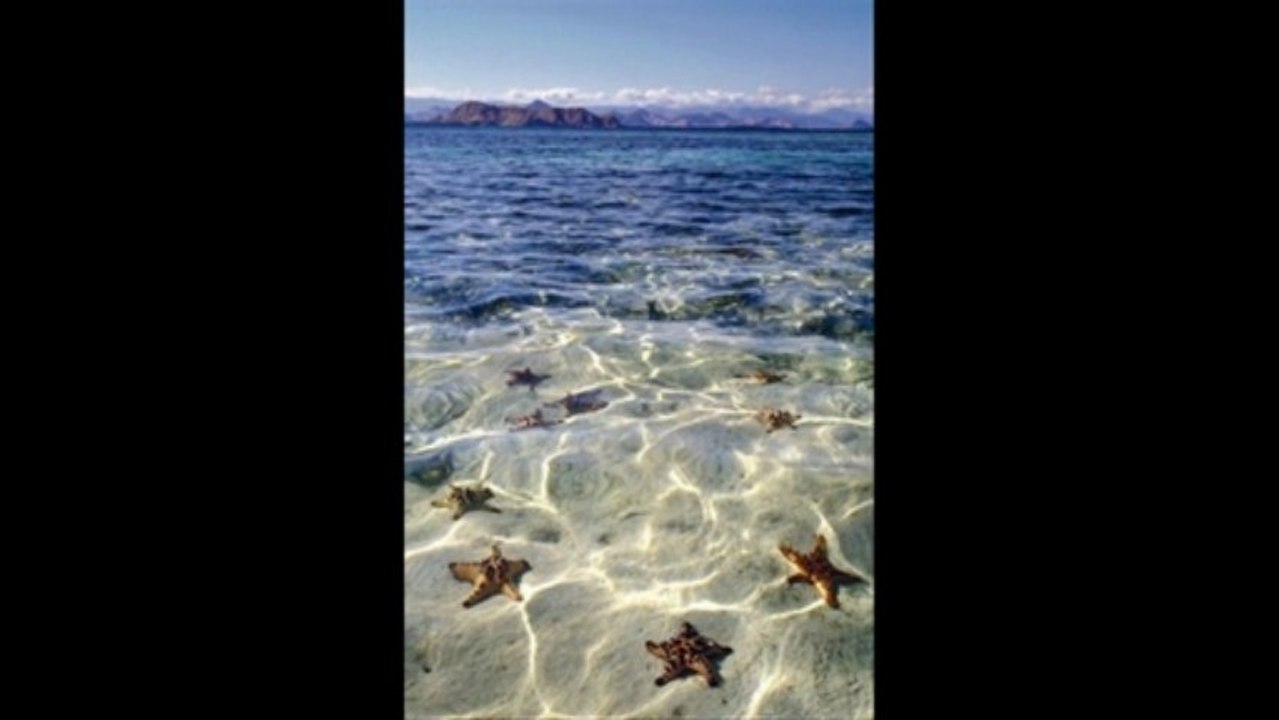 The Peaceful Ocean