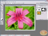 Adobe CS TUT VID-14 coloringRecoloringYT