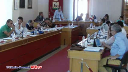 Consiglio comunale 8 luglio 2013 Punto 1 mozione lavoratori ecx LSU intervento Filipponi