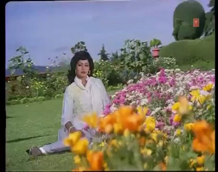 Hairan Hoon Main [Full Song] _ Jawab Hum Denge _ Jakie Shroff, Sridevi