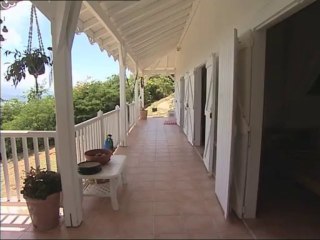 Ekolo Kay - L'esprit du bois