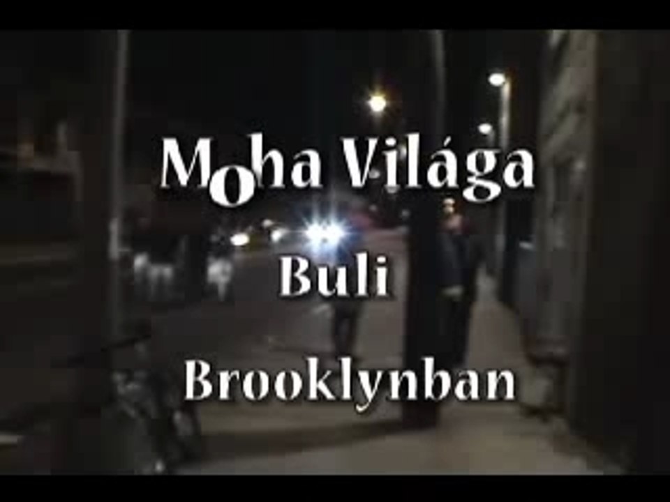 MohaVilaga-DangerParty