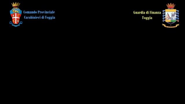 Foggia - Truffe Inps, aziende create ad hoc per assumere falsi braccianti, arrestati (17.07.13)