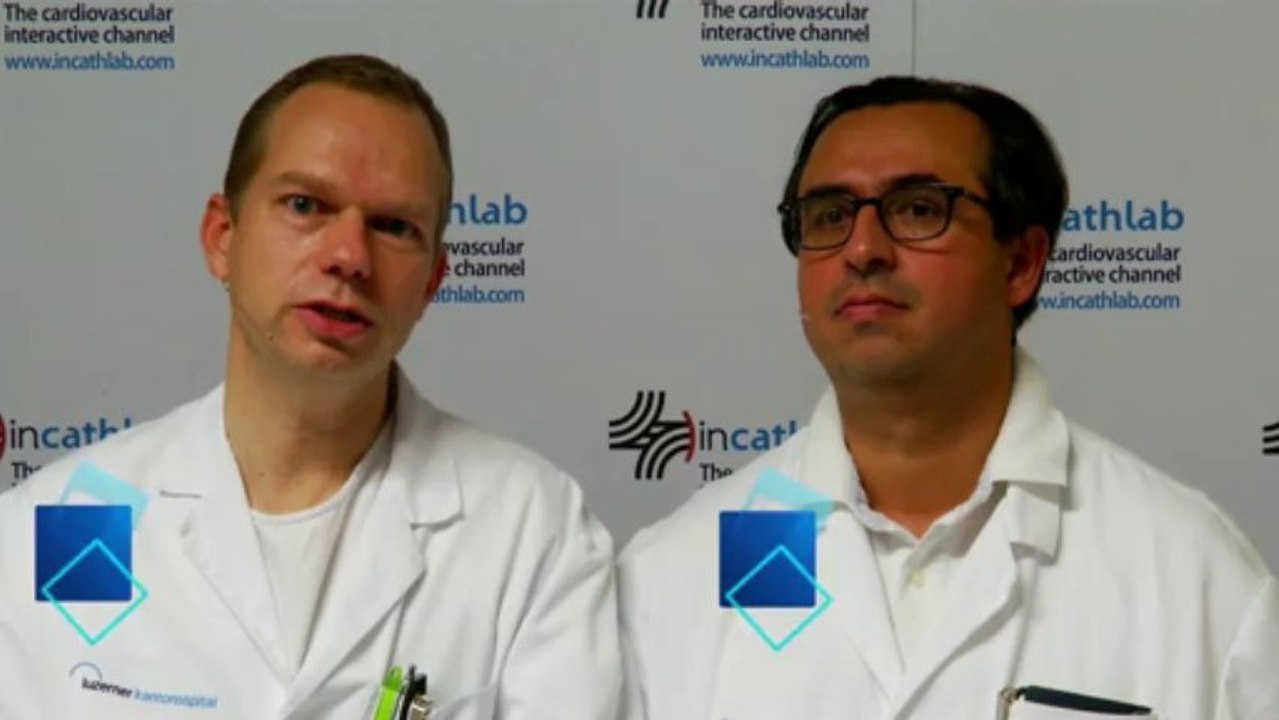 Common Illiac width Kissing Stent