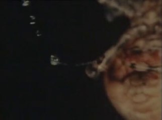 Threads (1984) [REALISTIC look at nuclear war]