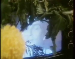 Michel Berger - Le Prince des villes