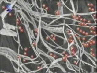 Motores de hidrogeno: Las plumas del pollo (Nanotecnologia)