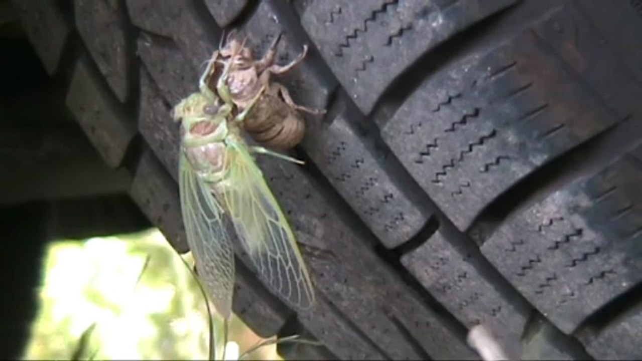 De l'ombre à la lumière... SUMMERTIME