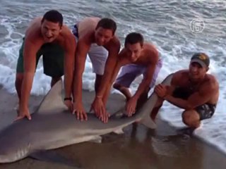 Рыбак поймал акулу и руками вытащил её на берег