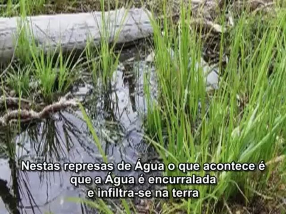 Ouro Azul Guerra Mundial da Água 89