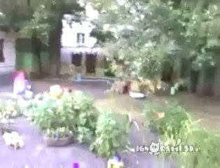 Ölü Taklidi Yapan Kedinin Köpekten Kurtuluş Macerası