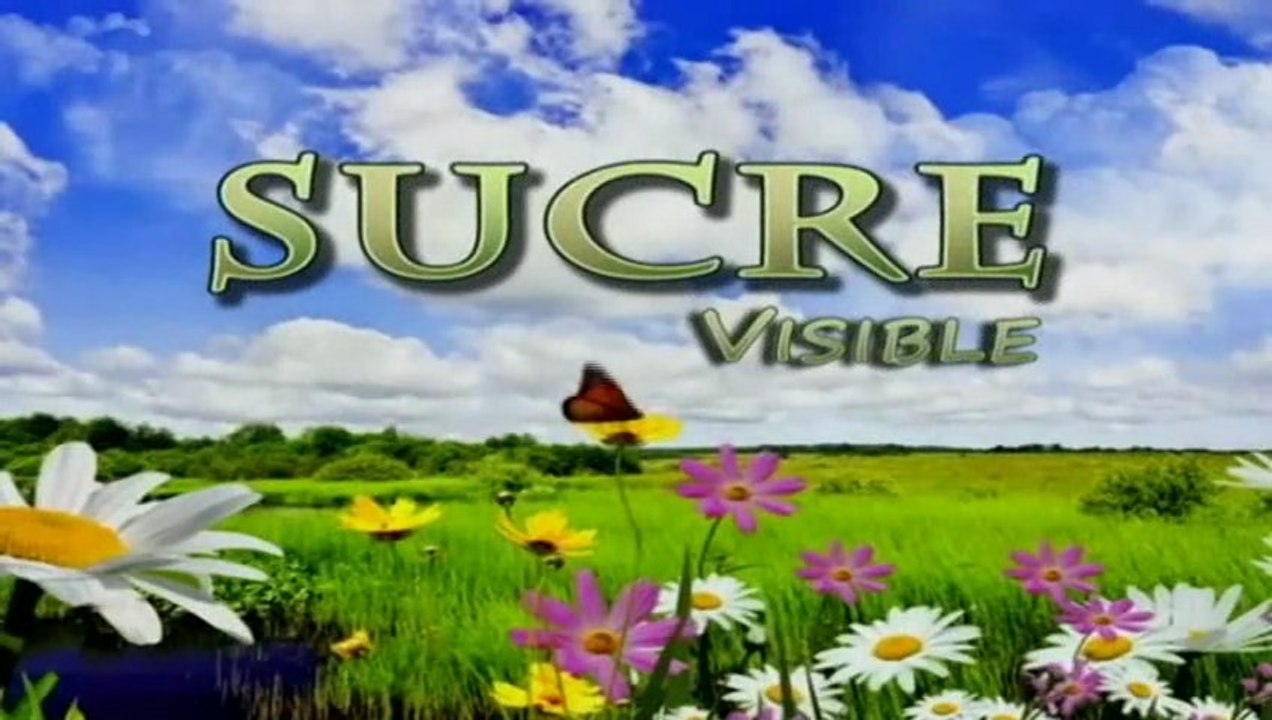 SUCRE VISIBLE JULIO 17 DE 2013